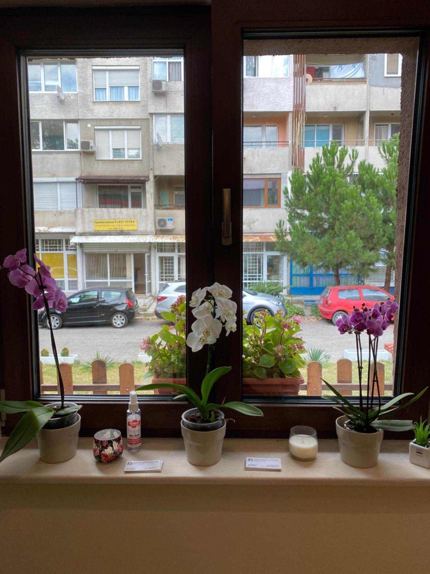 Sofia Family House - Free Parking Hotel Buitenkant foto